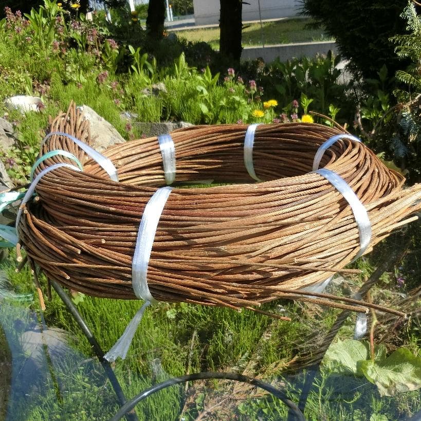 青森岩木山採取　あけび蔓　150cm～ 1.5kg