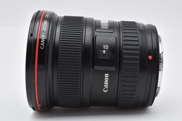 ★光学極上品★キヤノン EF 17-40mm F4 L USM #610