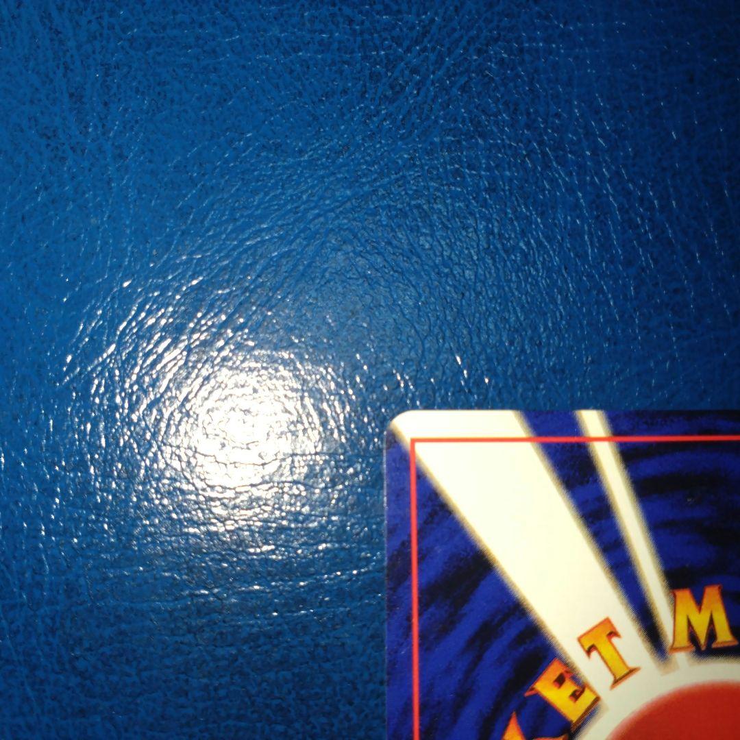 カツラのリザードン 美品