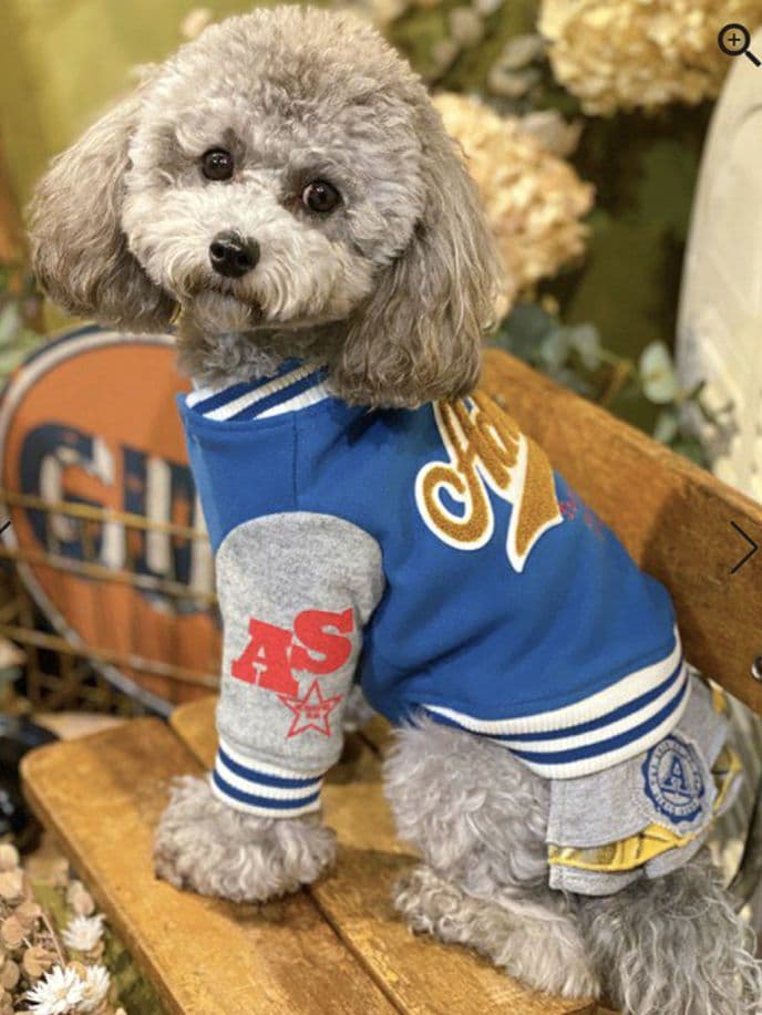 HAPPY☆スタジャン　新品　asknowasdewan アズノゥアズデワン