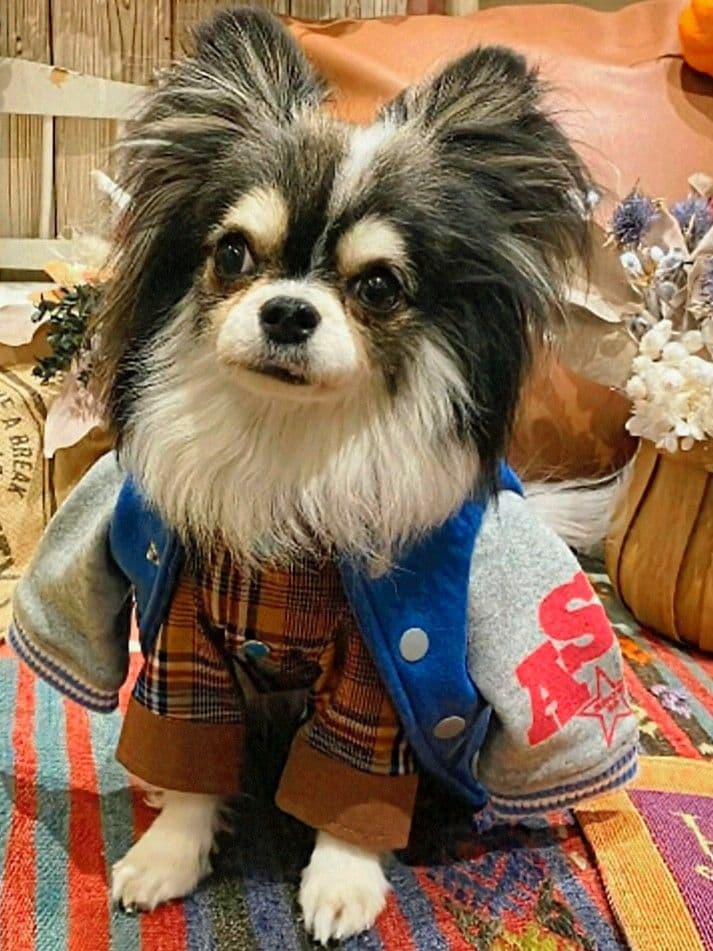 HAPPY☆スタジャン　新品　asknowasdewan アズノゥアズデワン