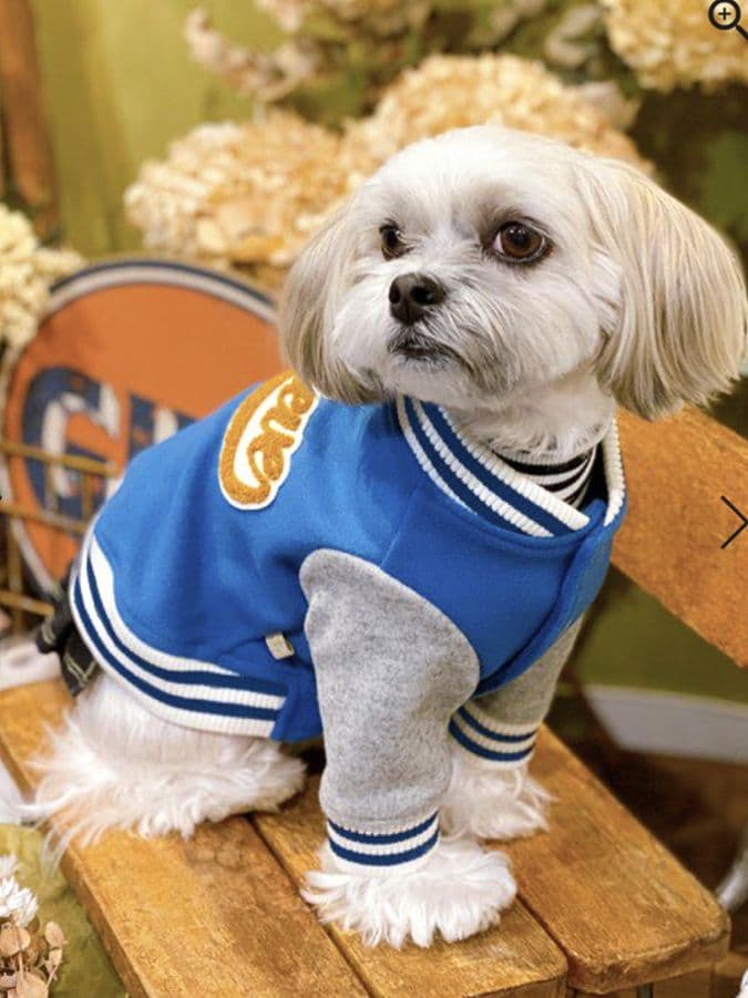 HAPPY☆スタジャン　新品　asknowasdewan アズノゥアズデワン