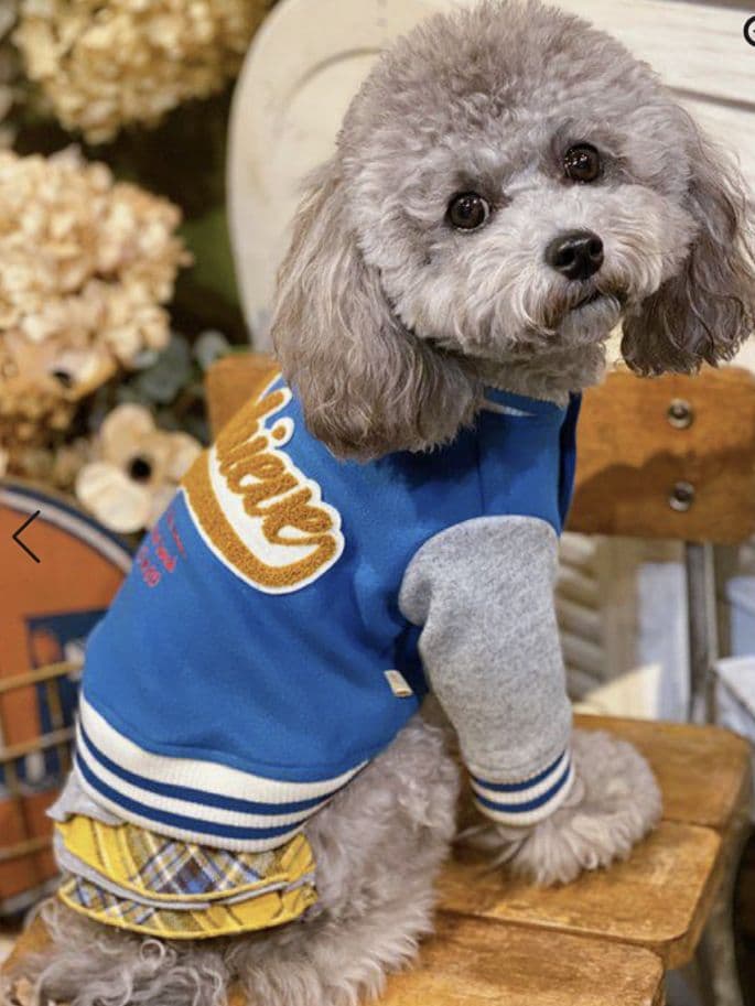 HAPPY☆スタジャン　新品　asknowasdewan アズノゥアズデワン