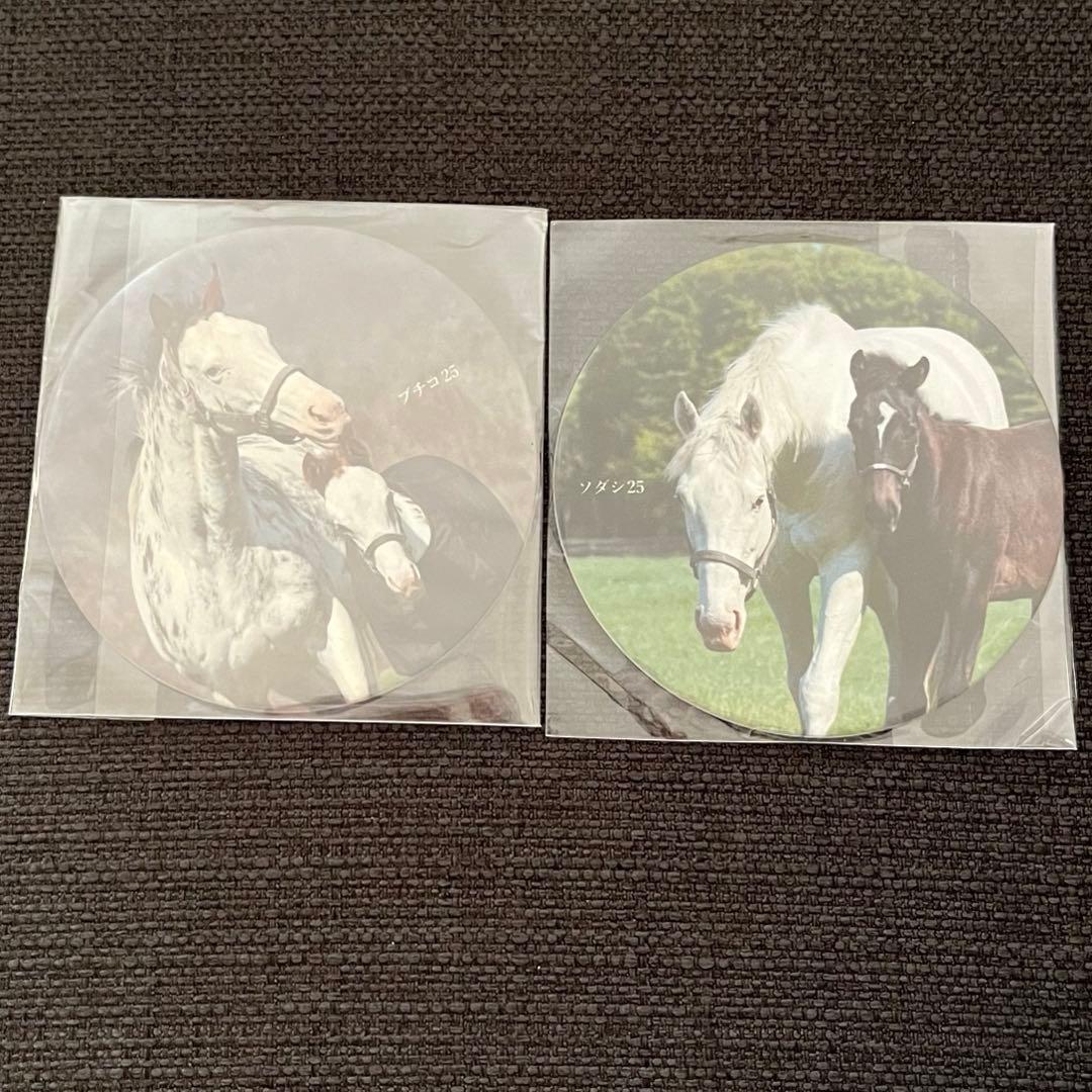 ソダシ　ブチコ　コースター　バラ売り×