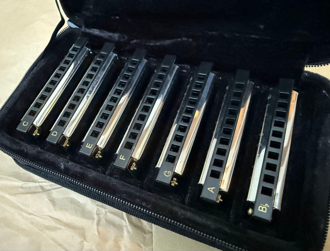 Hohner Bluesband 10ホールハーモニカ 7本セット　未使用