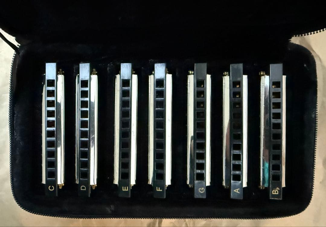 Hohner Bluesband 10ホールハーモニカ 7本セット　未使用