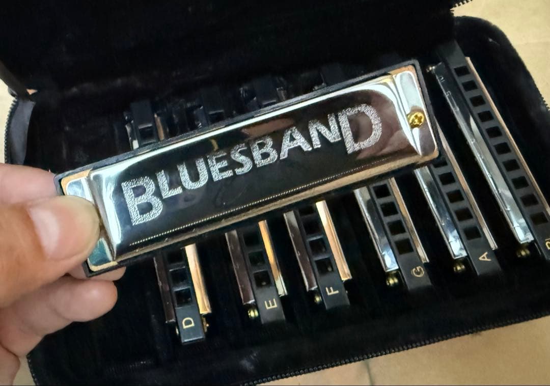 Hohner Bluesband 10ホールハーモニカ 7本セット　未使用