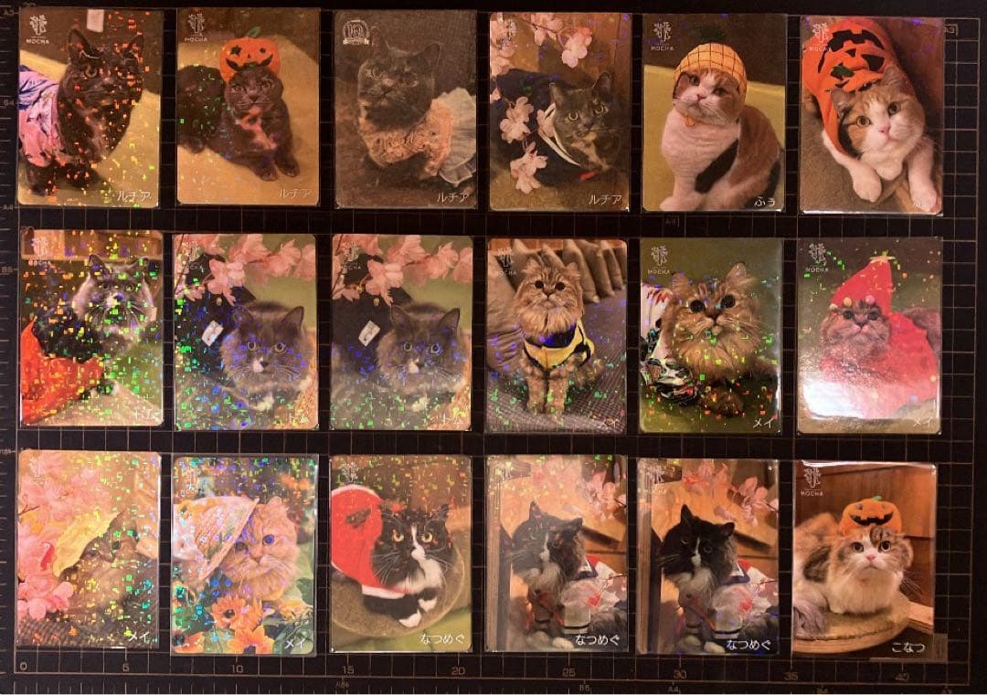 猫カフェmocha にゃんずトレカ バラ売り⭕️