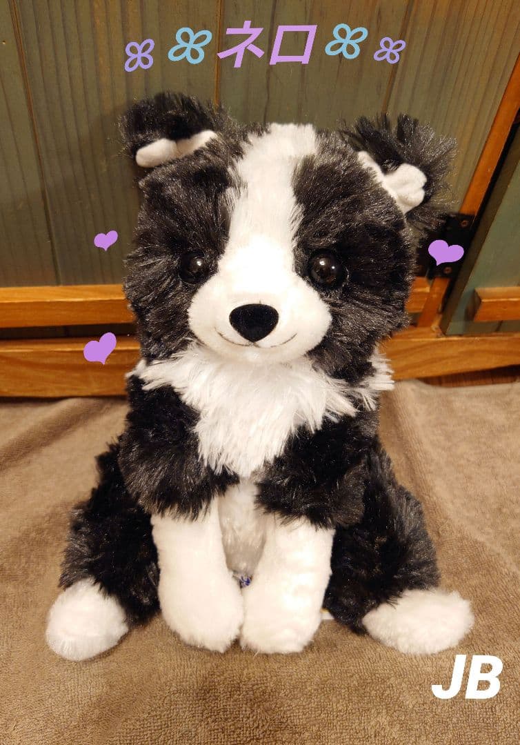 くったりボーダーコリー  ネロ  JB