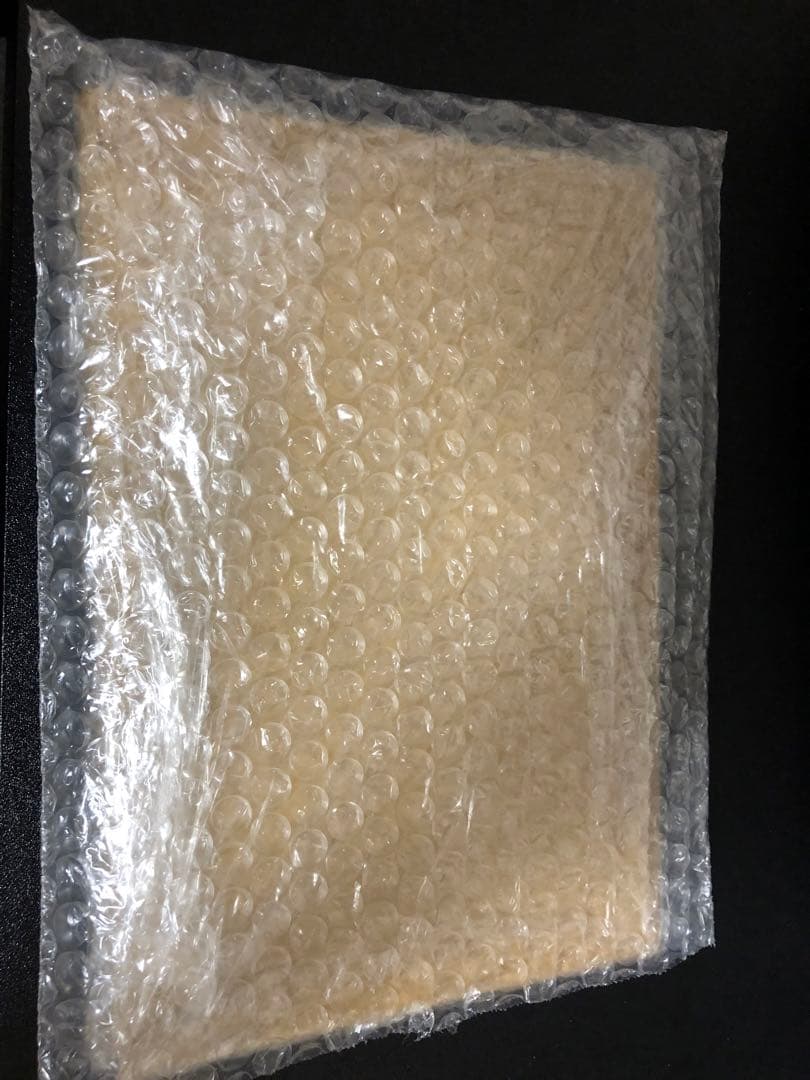 真紅眼の黒竜 レッドアイズブラックドラゴン プリズマ 未開封