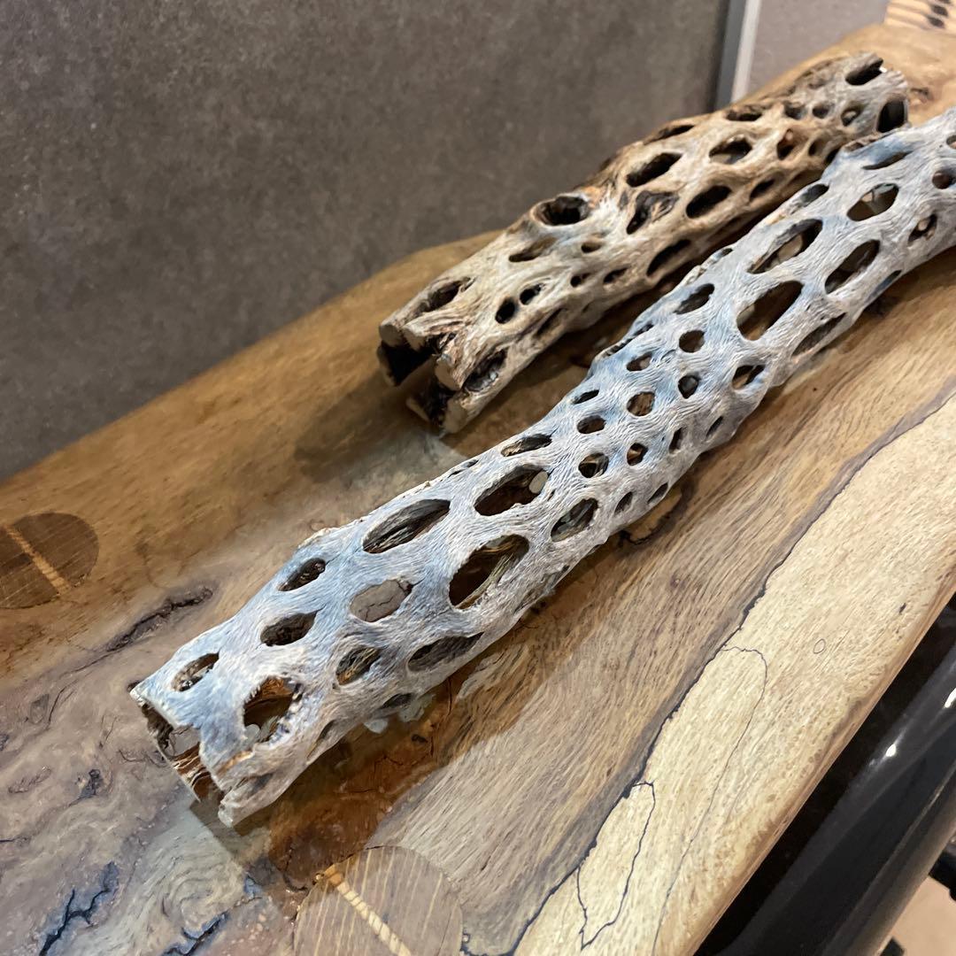 【あやのさん専用】オーダーメイドカクタスパーチ　2本セット　作製用