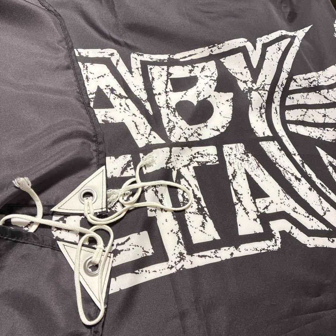 BABYL まとめ売り フラッグ 赤子金属 扇子 ピック ケース