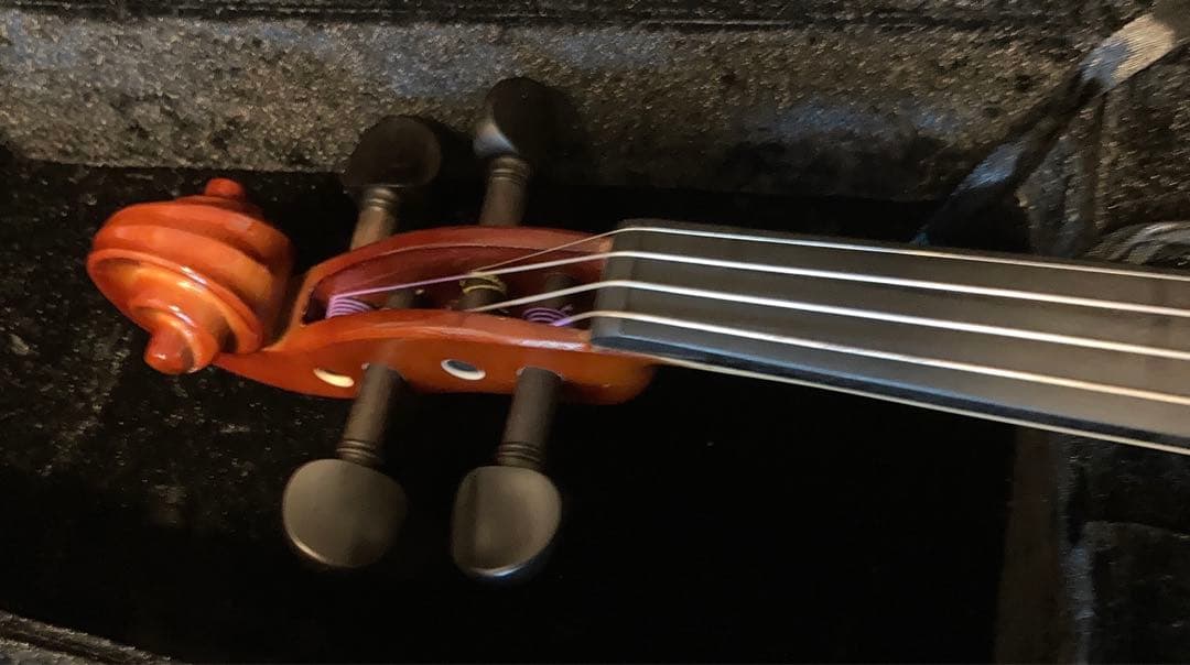 10/13までの価格！カルロジョルダーノバイオリンVS-14/4サイズ