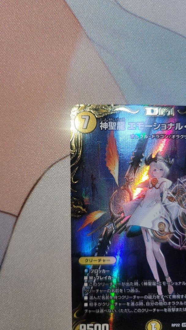 神聖龍 エモーショナル・ハードコア