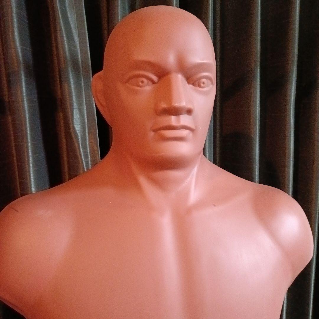 プレミア品‼︎‼︎ 　朝倉未来さん使用　人間型サンドバッグ　トレーニング