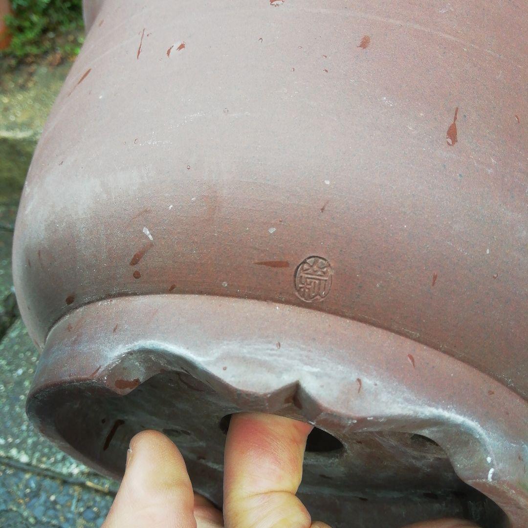 ミニ盆栽鉢、盆栽鉢、植木鉢、鉢、山野草鉢、盆栽