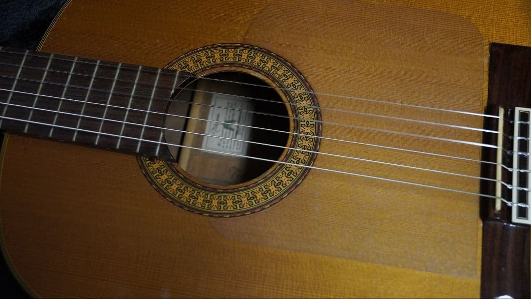 Takamineエレガットギター