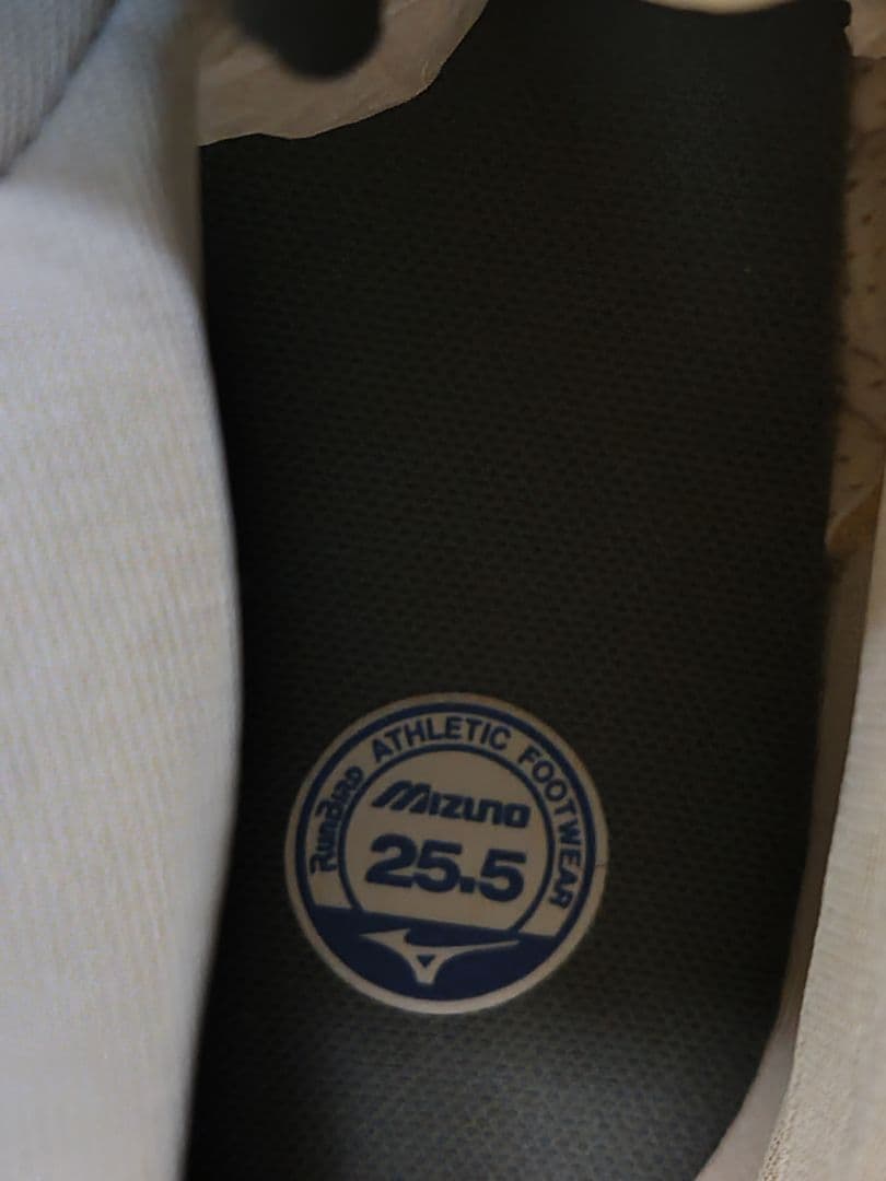 【極美品】ミズノ ボクシングシューズ　ブラック/シルバー　25.5cm