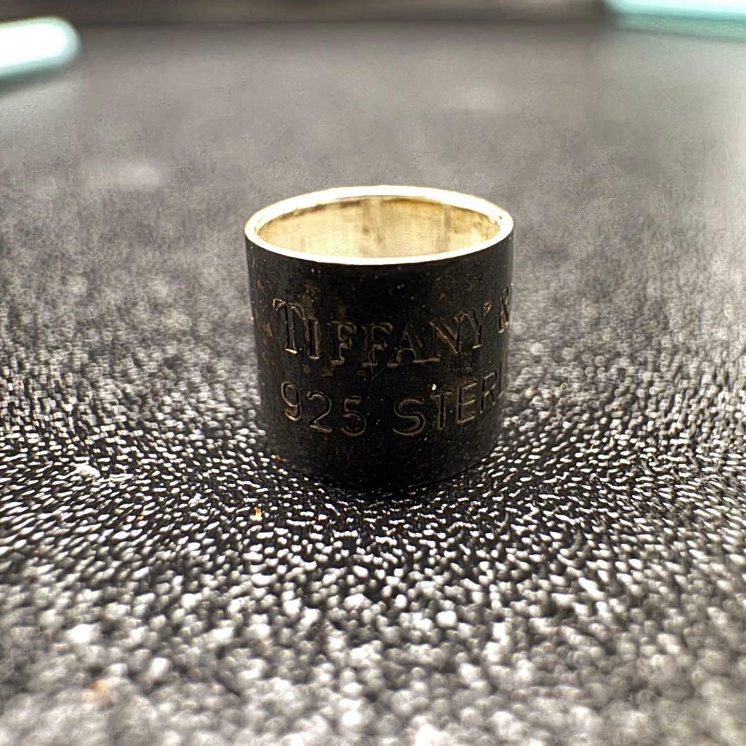 ティファニー ボールペン シルバー925 ライトブルー ヘビ柄 筆記用具