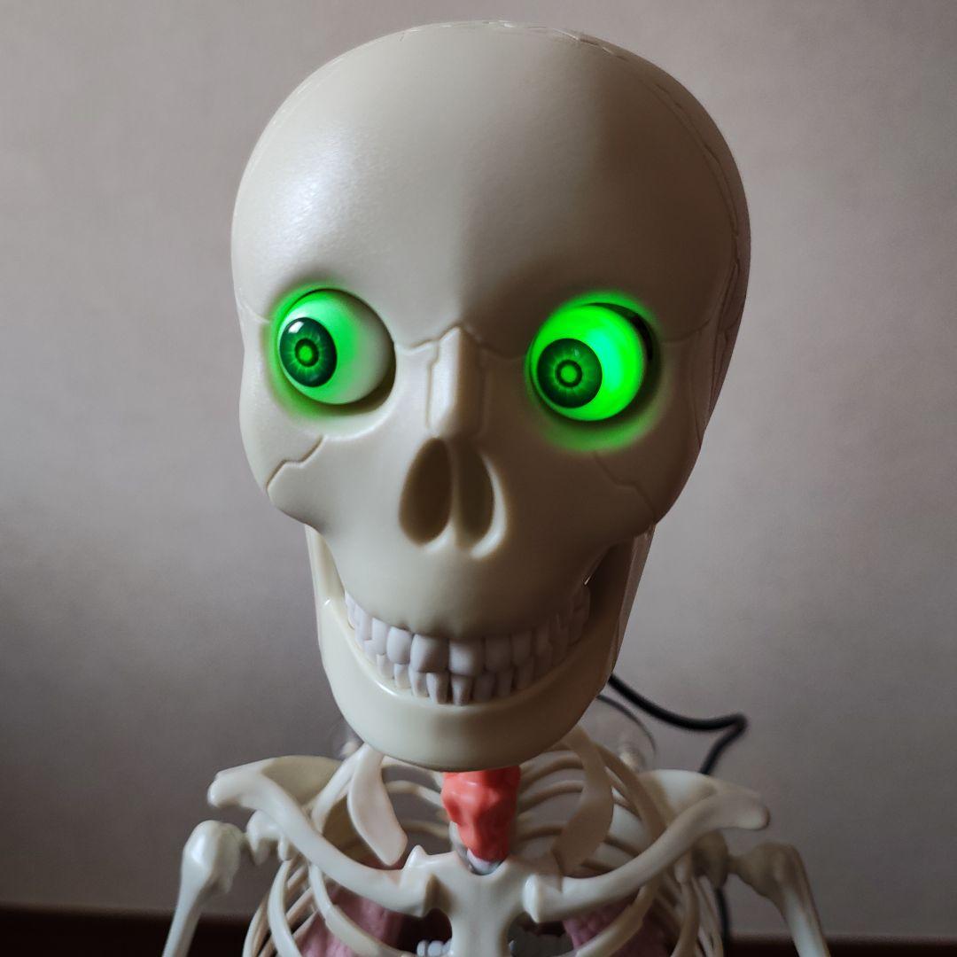 ホネッキーおしゃべりガイコツ全70巻