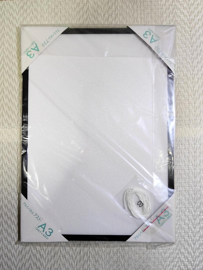 10枚セット HAKUBA ハクバ A3 ポスターパネル 額縁 ブラック アルミ