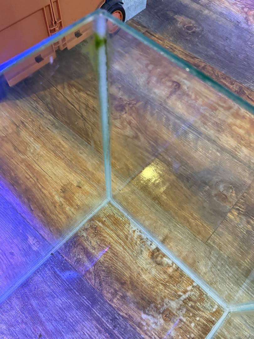 大きめ スリム　ガラス水槽 長方形