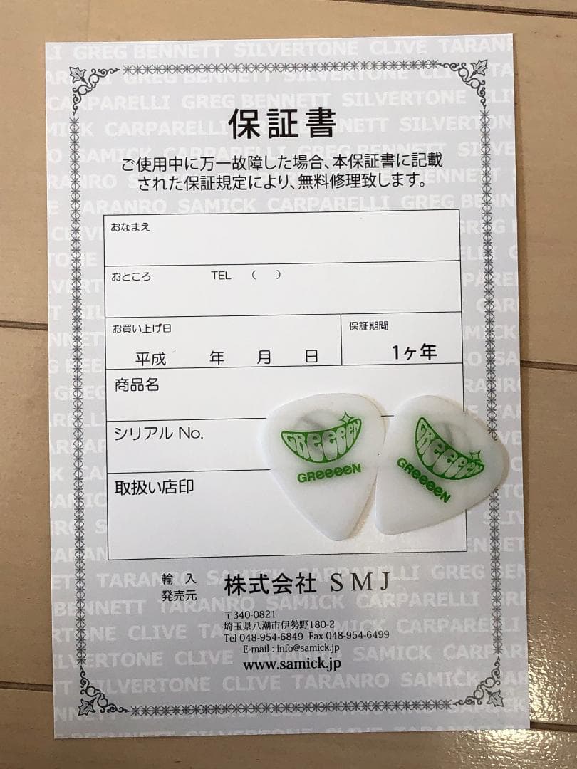 GReeeeN（naviモデル）限定ギター