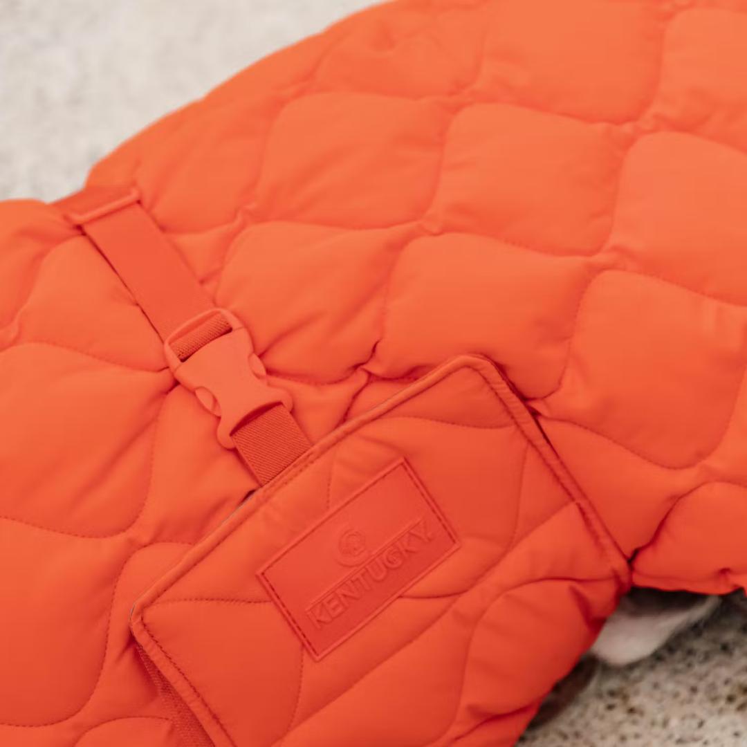 Kentucky Dogwear 未使用ベルギー ドッグコート 中綿入り