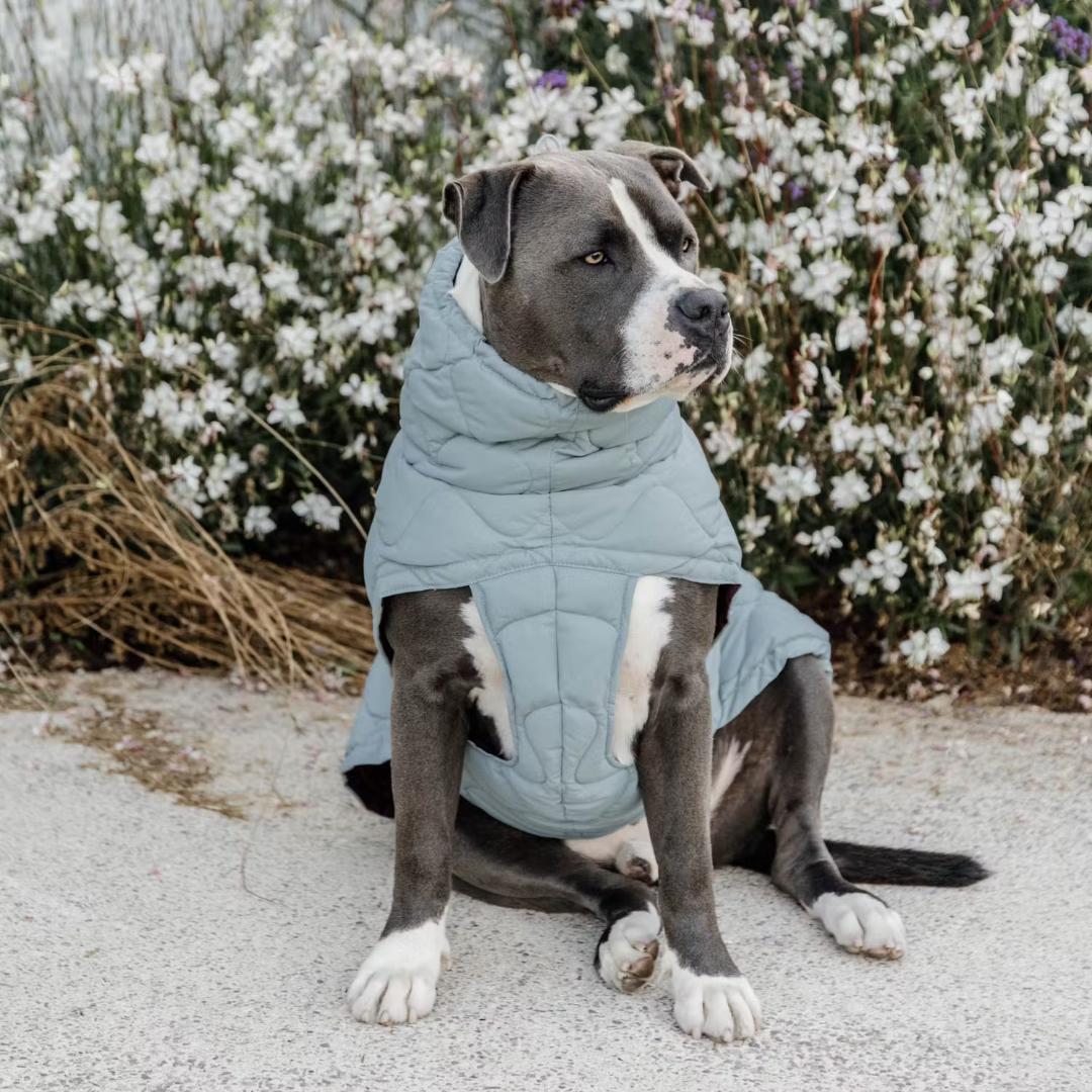 Kentucky Dogwear 未使用ベルギー ドッグコート 中綿入り