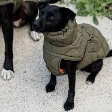 Kentucky Dogwear 未使用ベルギー ドッグコート 中綿入り