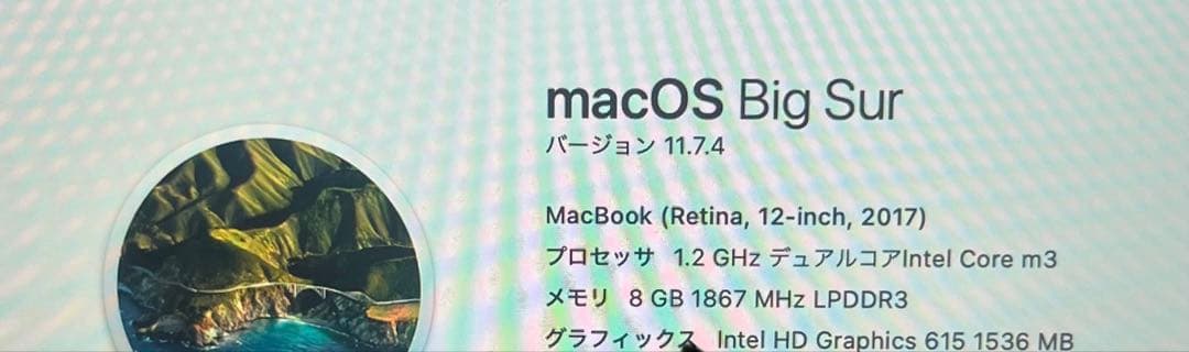 【比較的美品】Apple MacBook (12-inch, 2017)
