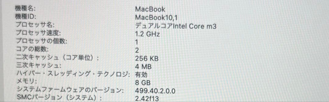【比較的美品】Apple MacBook (12-inch, 2017)