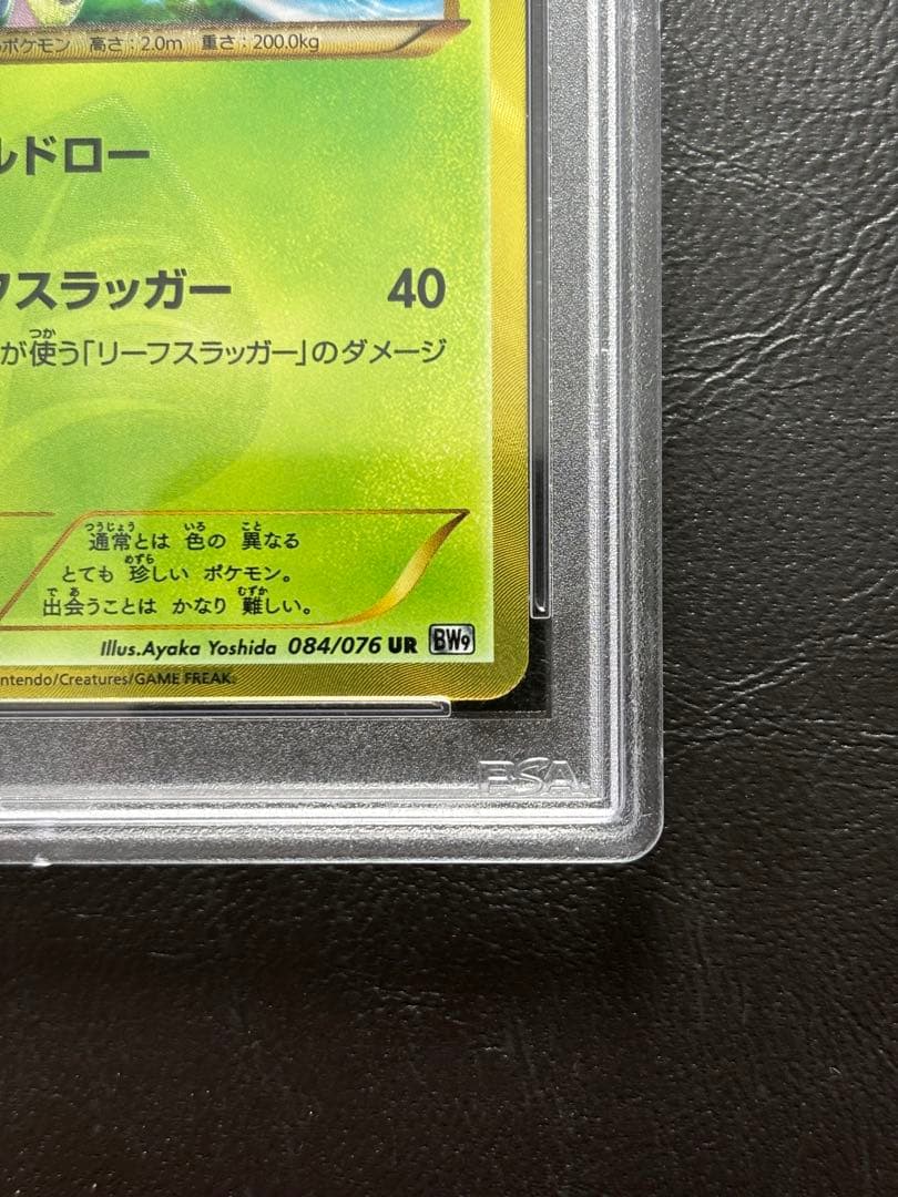 【PSA10】ビリジオン UR 084/076 BW9 アンリミ 色違い