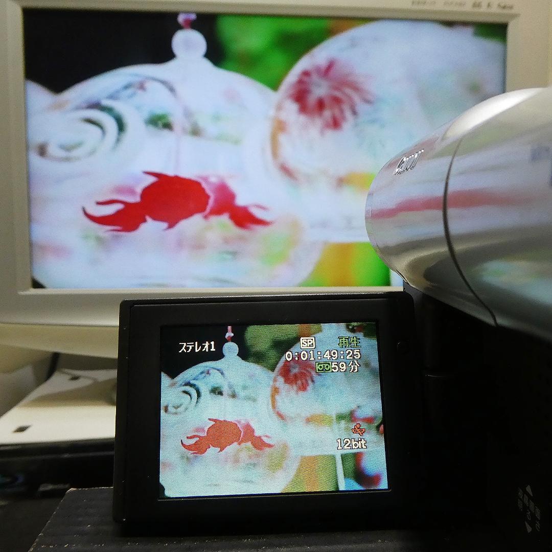 動作良好 Canon DM-FV1 MiniDVビデオカメラ　DVD化に最適