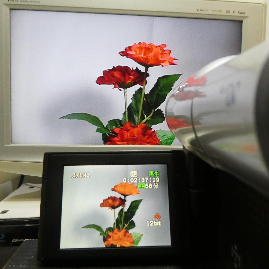 動作良好 Canon DM-FV1 MiniDVビデオカメラ　DVD化に最適