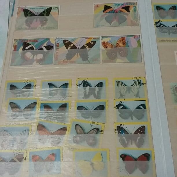 切手コレクション　蝶々