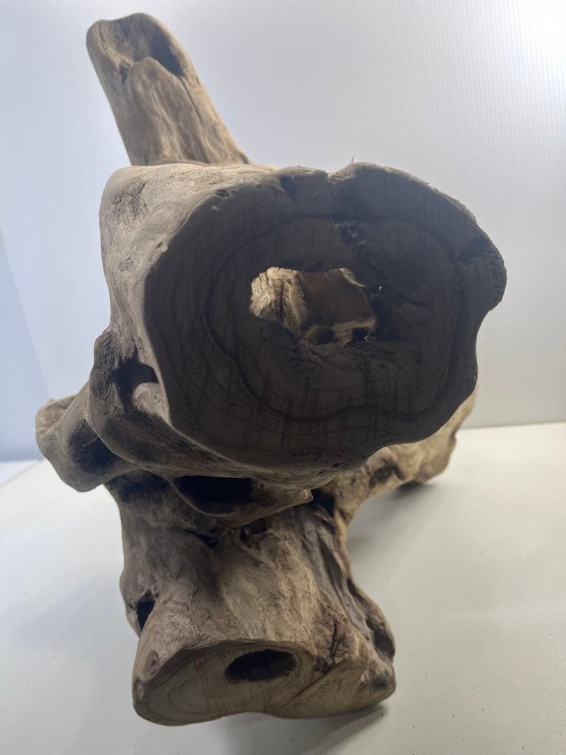 R79アク抜き済み流木 爬虫類シェルター 登り木 インテリア 生け花