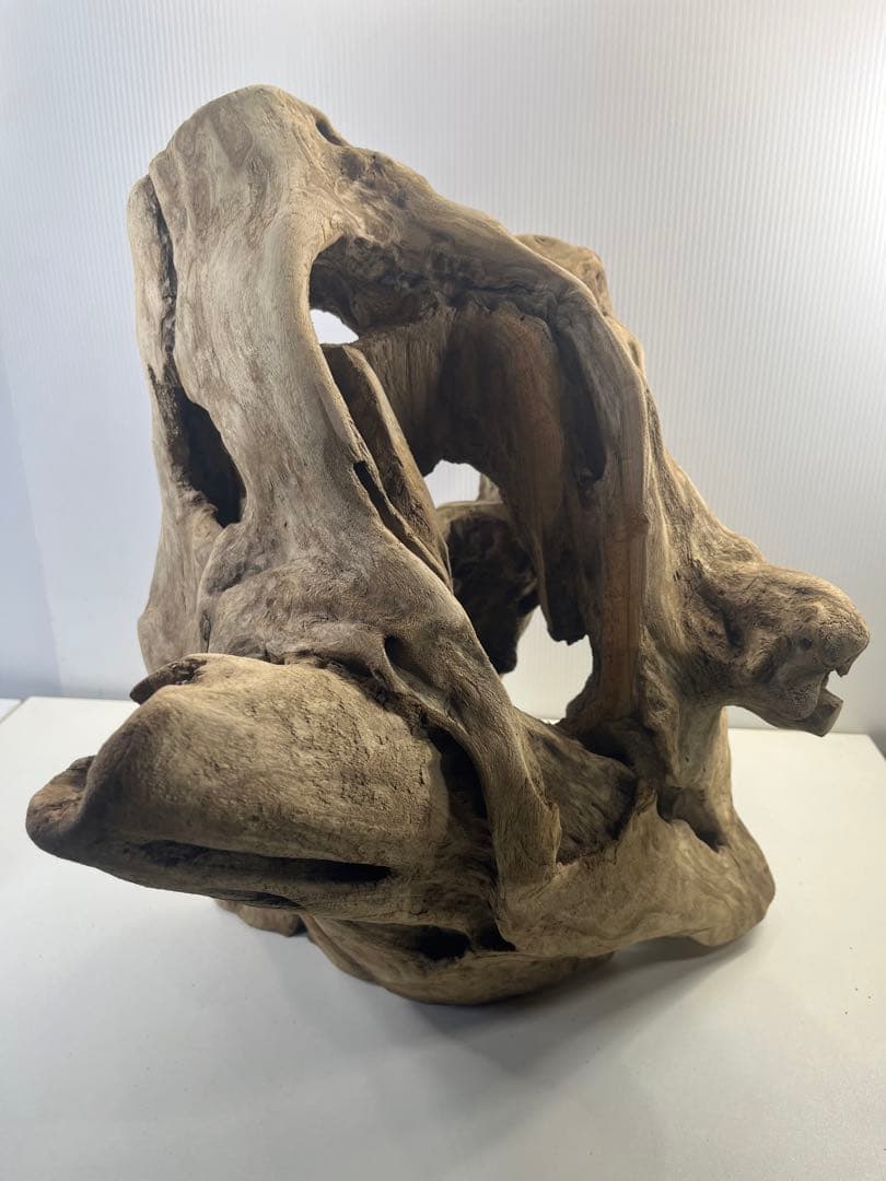 R79アク抜き済み流木 爬虫類シェルター 登り木 インテリア 生け花