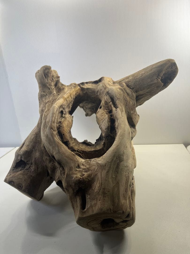 R79アク抜き済み流木 爬虫類シェルター 登り木 インテリア 生け花