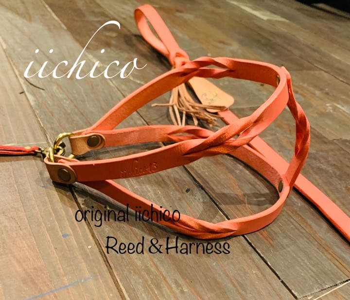 犬用　サーモンピンク【本革】リード＆ハーネス2点 SET❣️