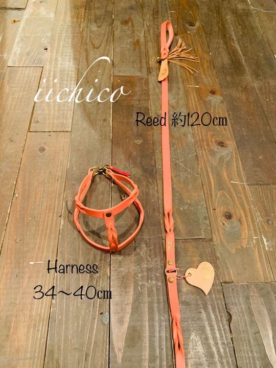 犬用　サーモンピンク【本革】リード＆ハーネス2点 SET❣️