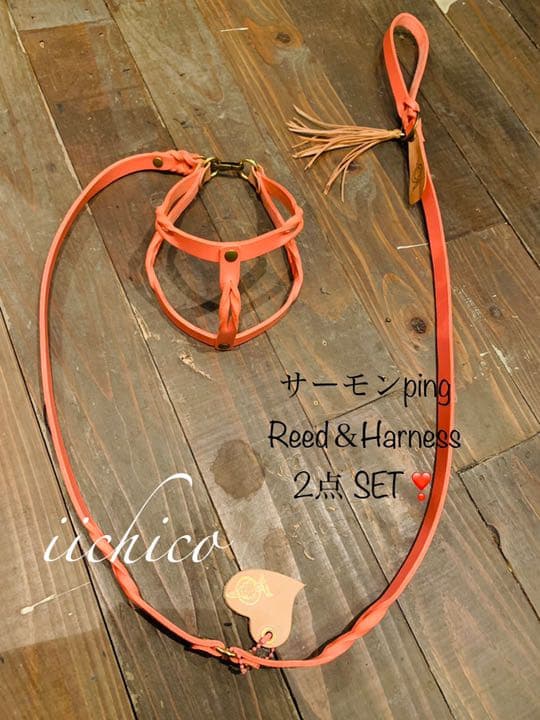 犬用　サーモンピンク【本革】リード＆ハーネス2点 SET❣️