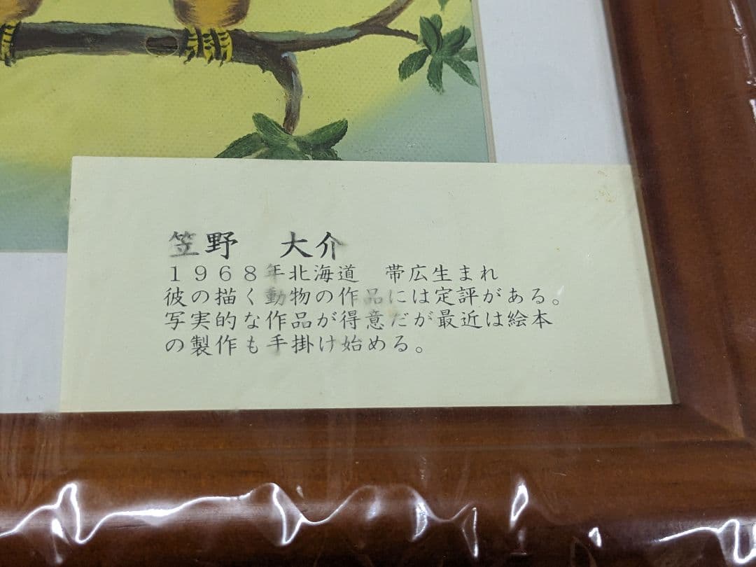 笠野 大介、Daisuke Casano