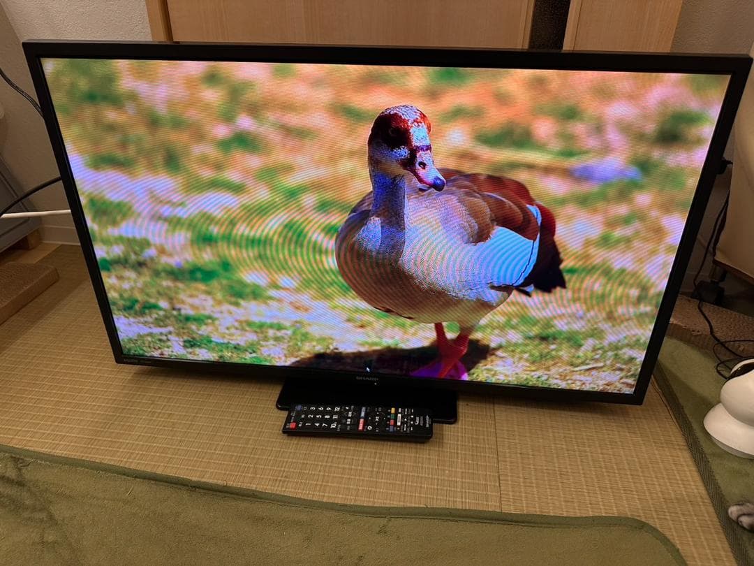 SHARP シャープ　32型　テレビ 2T-C32DE 2022年製　状態綺麗！