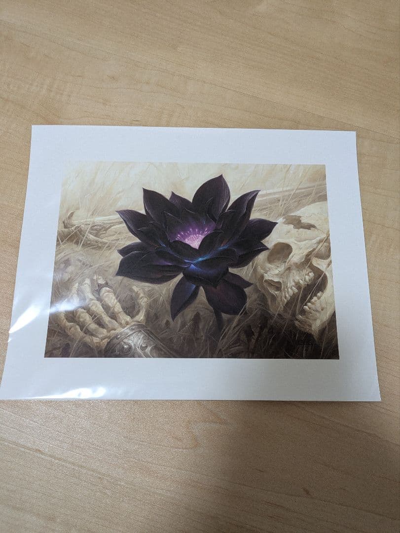 Black Lotus ブラックロータス MO アートプリント 複製原画 MTG