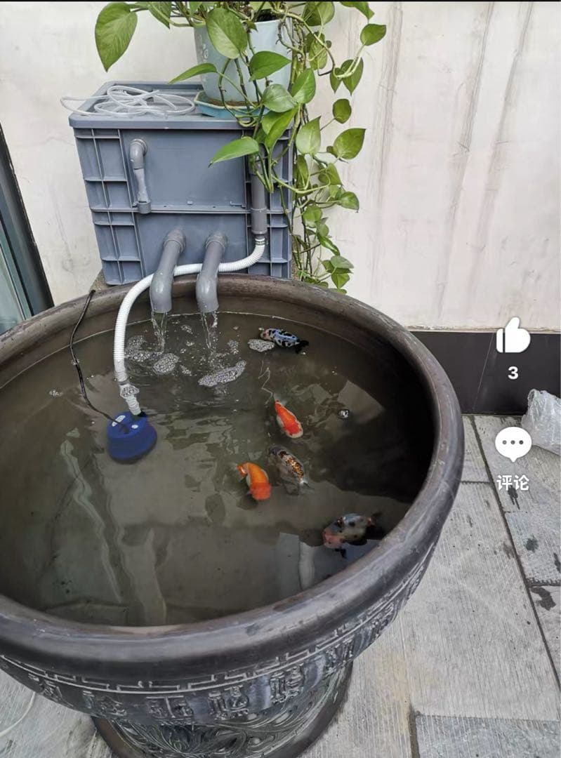 【1点限り訳あり特価】 45w水中ポンプ付き水槽池用フィルター 濾過槽濾過装置器