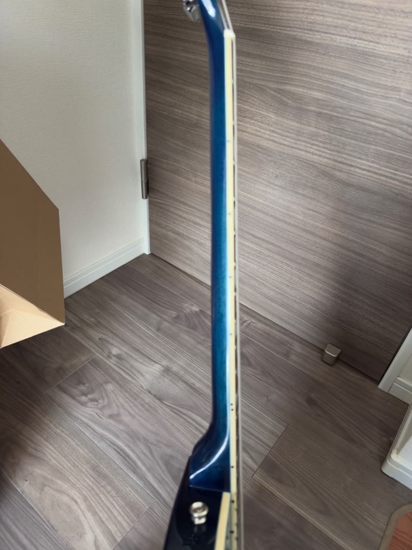 【値下げ】Bacchus BLP-BP/R