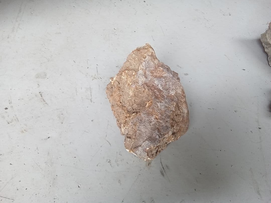 木化石　詰め合わせ