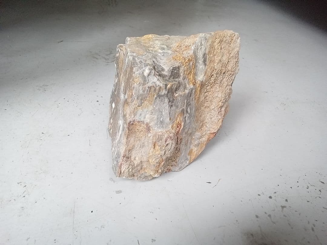 木化石　詰め合わせ