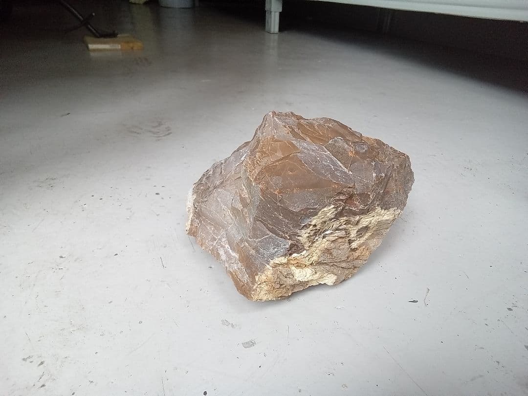 木化石　詰め合わせ